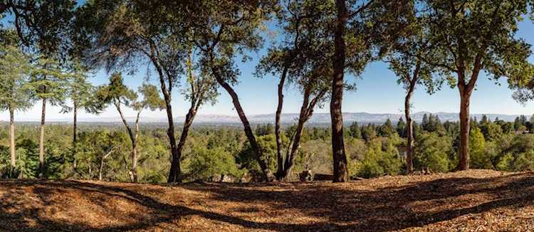 15400 Madrone Hill Rd Saratoga, CA 95070