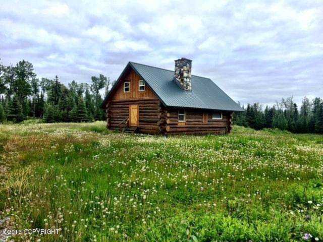 15380 Wild Salmon Way Ninilchik, AK 99639