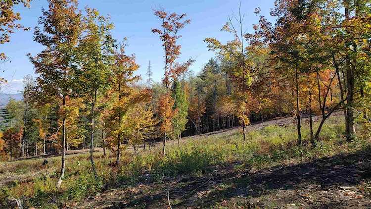 0 Derricks Dr #4 Wheelock, VT 05851