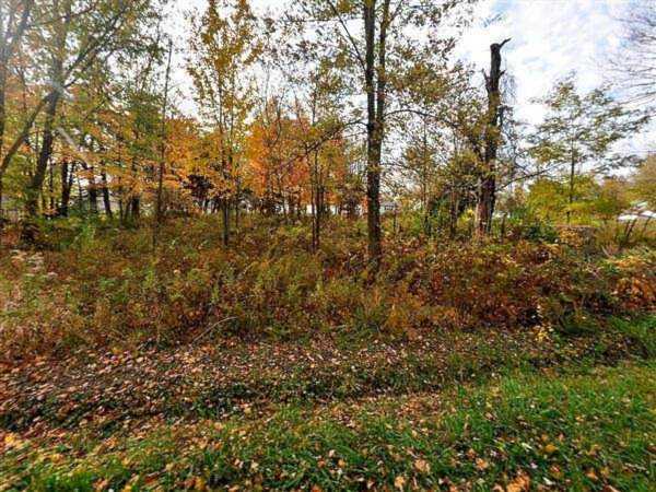 0 King Avenue Pataskala, OH 43062 | MLS 221020331 Photo 1