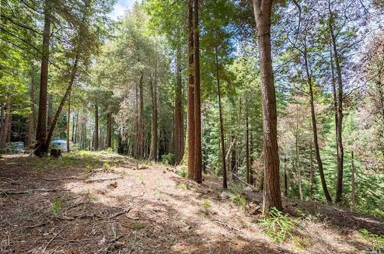 22047 Rust Court Jenner, CA 95450