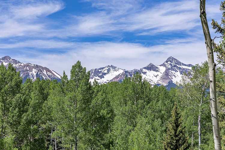 TBD Elk Run Rd #2 & 4 Telluride, COLORADO 81435