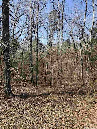 31 Phase Iii Finch Country Estates Romance, AR 72136 | MLS 21018041 Photo 1
