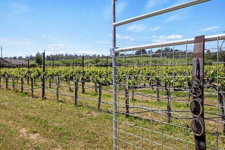1806 Darby Road Sebastopol, CA 95472