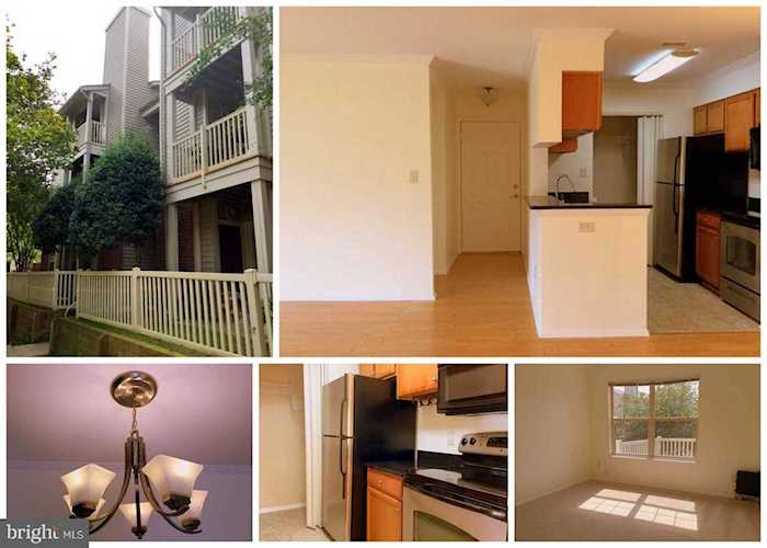 1725 Ascot Way #B Reston, VA 20190