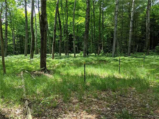 6260 Mohawk Trace Rd Greig, NY 13345