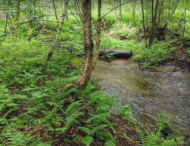 000 Loson Rd Watson, NY 13367