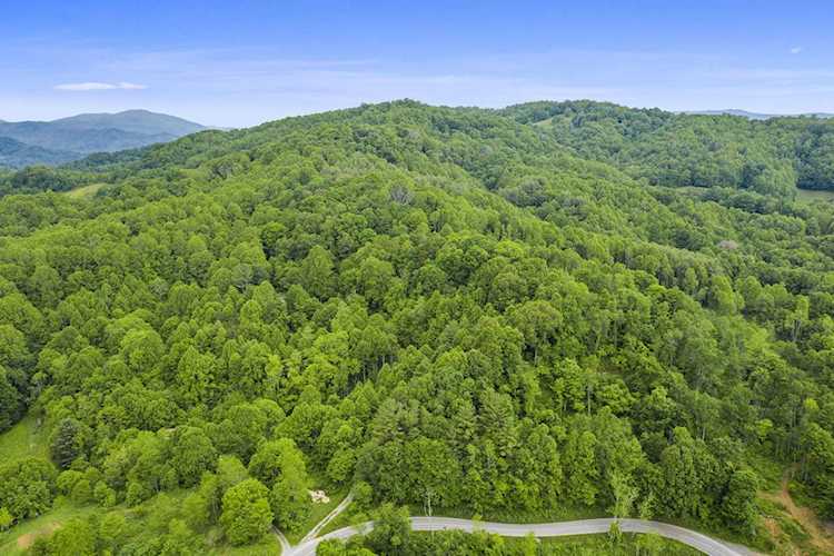 Tbd Buck Mtn Rd Roan Mountain, TN 37687