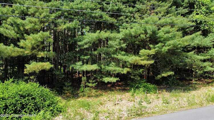 795 Long Rd Buck Hill Falls, PA 18323