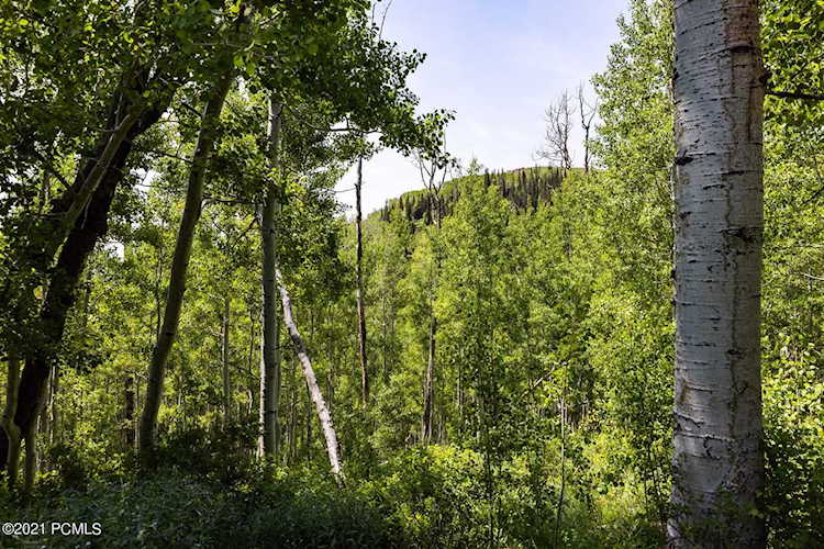 5475 N Hidden Way Midway, UT 84049