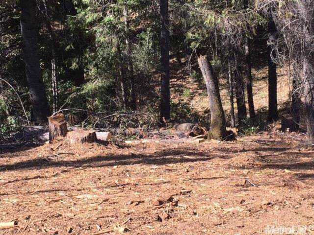 6650 Potter Lane Foresthill, CA 95631