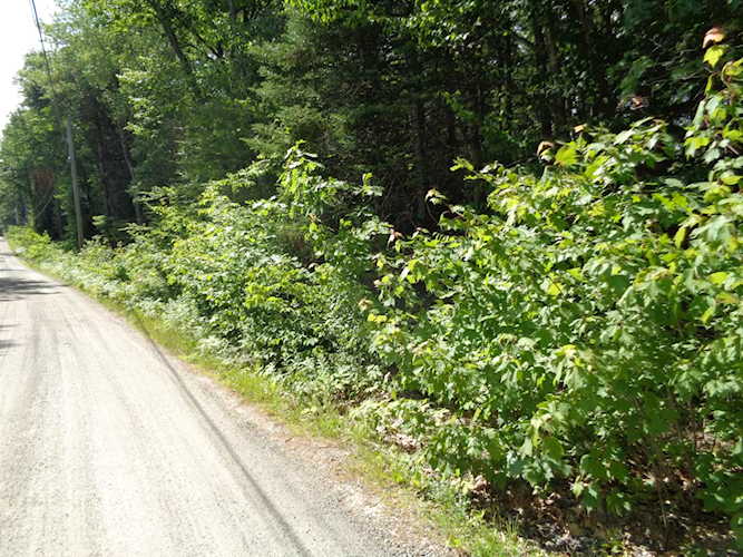 0 Harvest Ln Wells, ME 04090