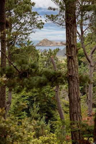 37900 Marine View Drive Gualala, CA 95445