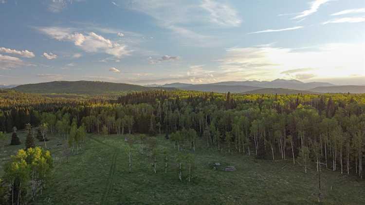 231175 Bracken Rd Rural Rocky View County, AB T0L 0K0