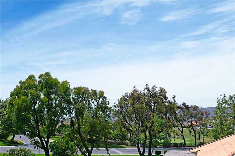 8 Tirremia Dr Dana Point, CA 92629 | MLS OC21123809 Photo 1