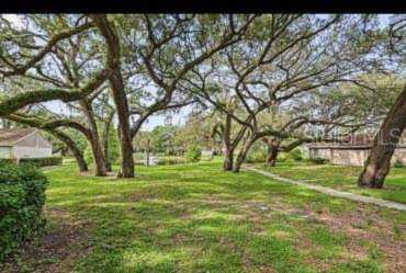8607 Cattail Dr Temple Terrace, FL 33637