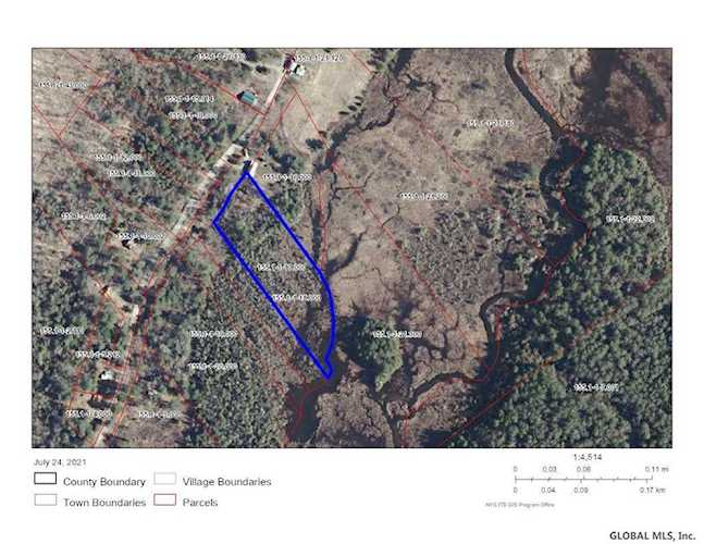 0 John Brannon Rd Olmsteadville, NY 12857 | MLS 202124493 Photo 1