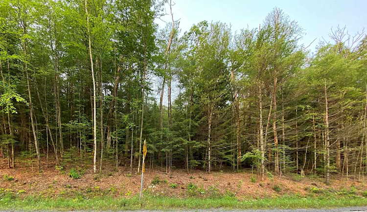 19 Goggins Rd Lake George, NY 12845 | MLS 202124502 Photo 1