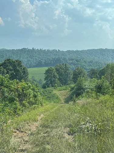 Tolliver Ridge RdNew TazewellUnionTN Photo 1
