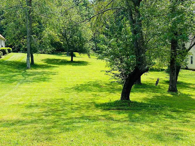 2124 Cherokee DrMaryvilleMonroeTNTellico Harbor Photo 1