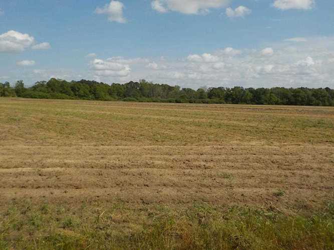 64.72+-ac Hwy 53/ Memphis Church Rd Dothan, AL 36301