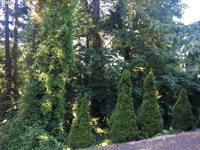 0 SW Florida St Portland, OR 97219