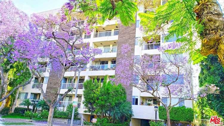 441 N Oakhurst Dr Beverly Hills, CA 90210