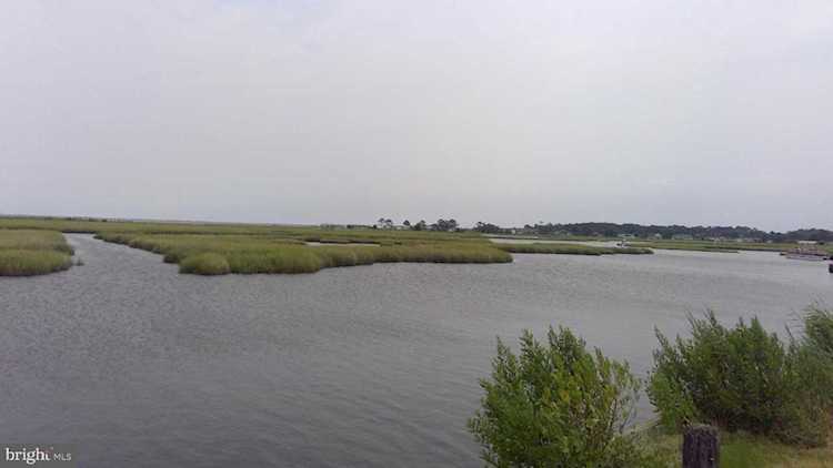 35553 Pine Dr Millsboro, DE 19966 | MLS DESU2002710 Photo 1
