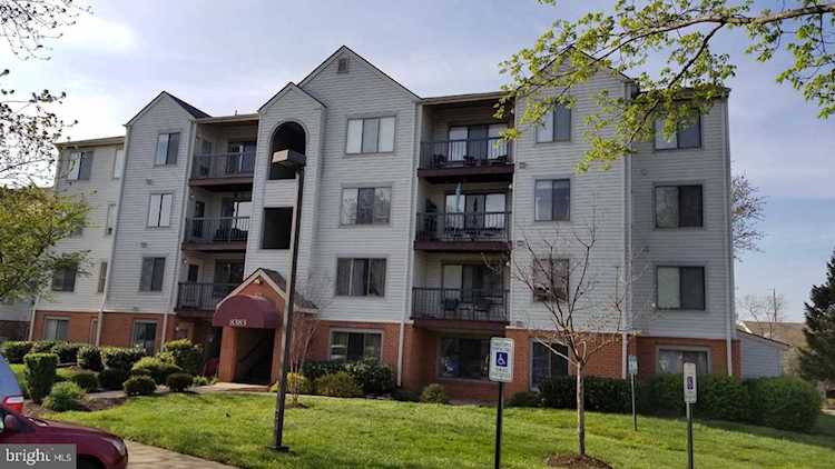 8383 Buttress Ln #303 Manassas, VA 20110 | MLS ® VAMN2000200 Photo 1