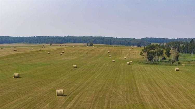 Horse Creek Rd Rural Rocky View County, AB T4C 1A1