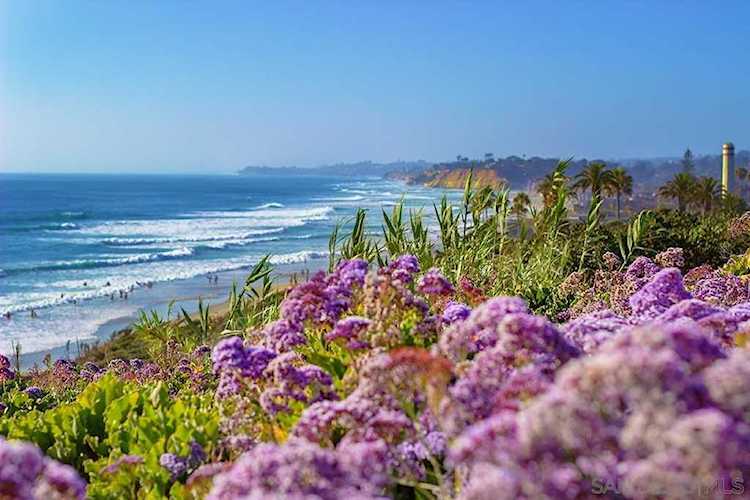155 15th Street #Unit 25 Del Mar, CA 92014