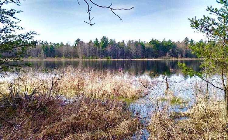 Par B White Lake Dr Twin Lake, MI 49457