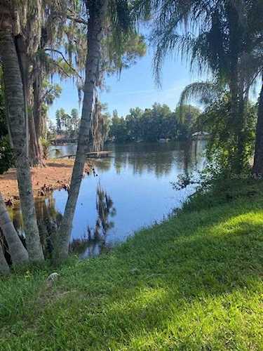 1304 Chesapeake Dr Odessa, FL 33556