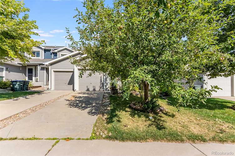 11052 Claude Ct Northglenn, CO 80233