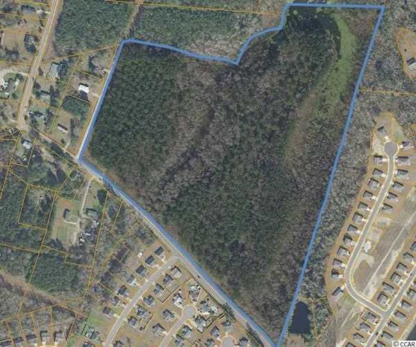 TBD Hemingway Chapel Rd. Conway, SC 29526