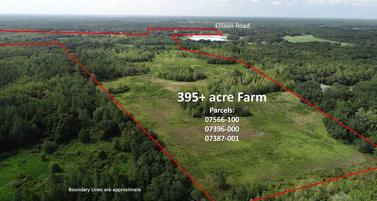 2628 E Ellison Rd Perry, FL 32347