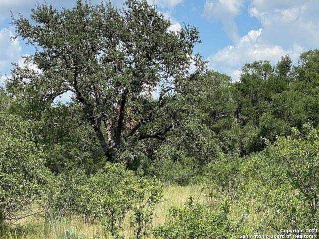 1043 Fabled Way Spring Branch, TX 78070