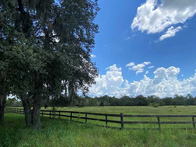 3015 Saffold Road FL 33572