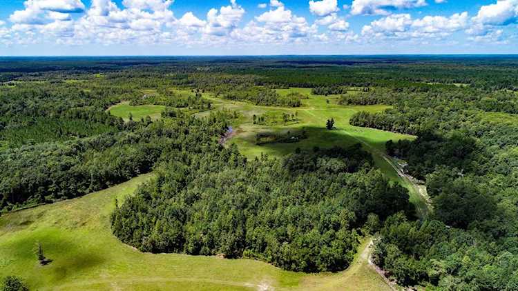 271 SW Seven Bridges Rd Greenville, FL 32331