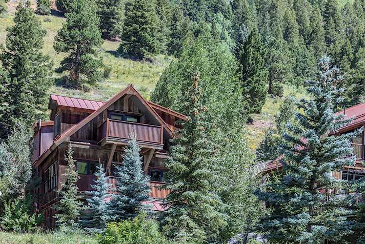 868 Butcher Creek Dr Telluride, COLORADO 81435