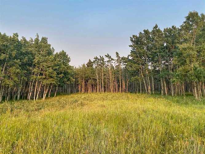 Lot 4 Range Road 33 Rural Rocky View County, AB T4C 1A2