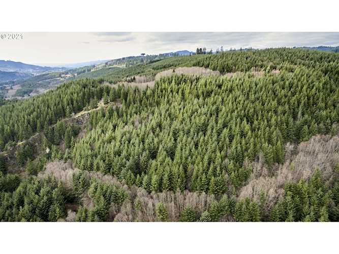 1 NE Grinnell Rd Amboy, WA 98601