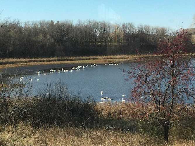 13280 Porter Way Waconia, MN 55387