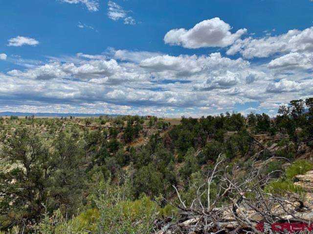 TBD Road 18 Cortez, CO 81323