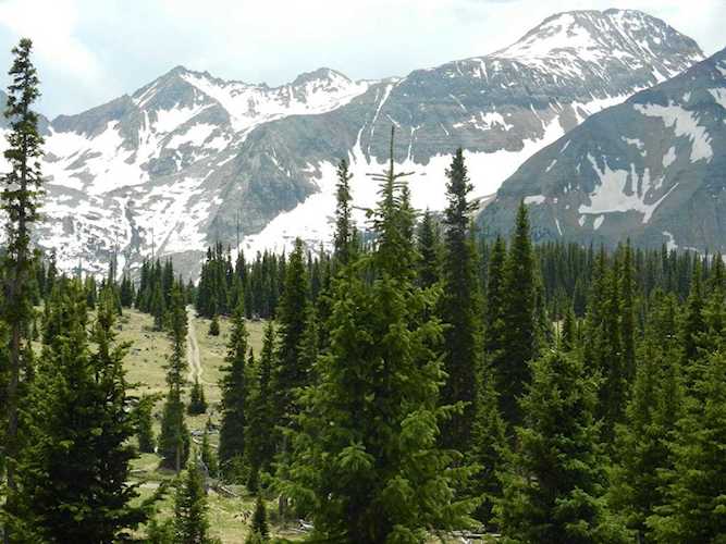 FSR 627 627 Rd #5 Ophir, COLORADO 81426