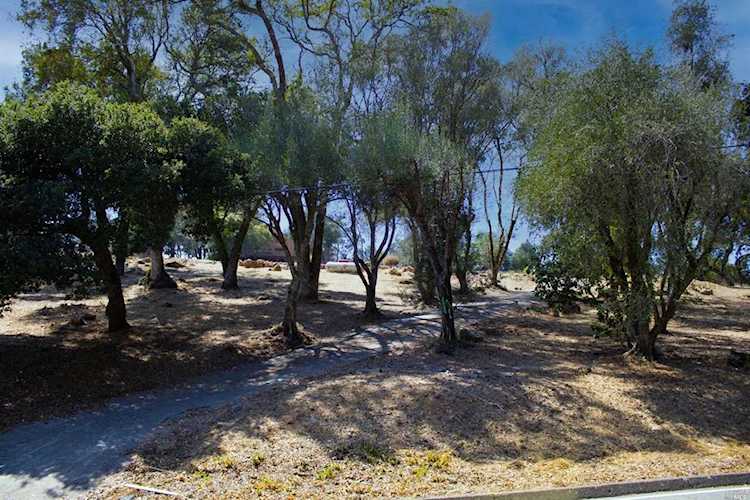 2900 Rollo Road Santa Rosa, CA 95404