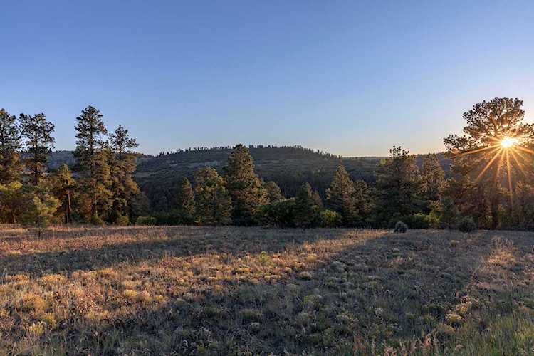 TBD Green Meadows Ln #A Placerville, COLORADO 81430