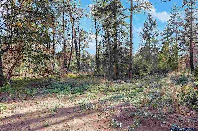 25375 Santiam Park Rd Lyons, OR 97358