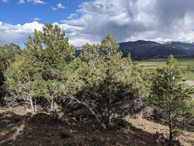 TBD Co Rd 24 #3 Ridgway, COLORADO 81432