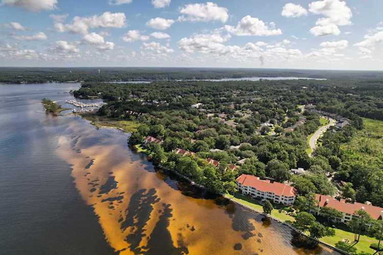 47 Marina Cove Drive #109 Niceville, FL 32578 | MLS 881898 Photo 1